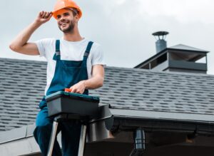 Chimney Inspection