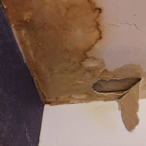 Leaking ceiling